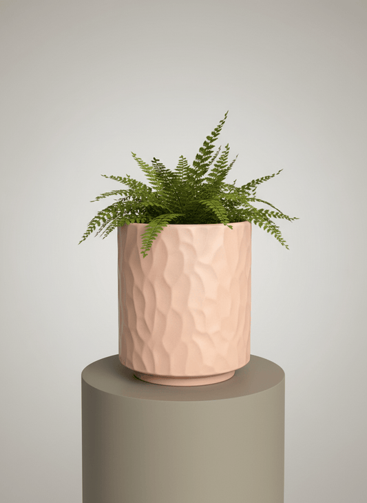 Luxe Ridge